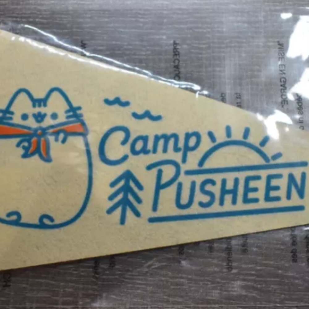 PUSHEEN BOX Camp Pusheen Summer 2020 Pennant Flag BRAND NEW